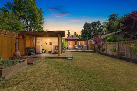 Backyard 2