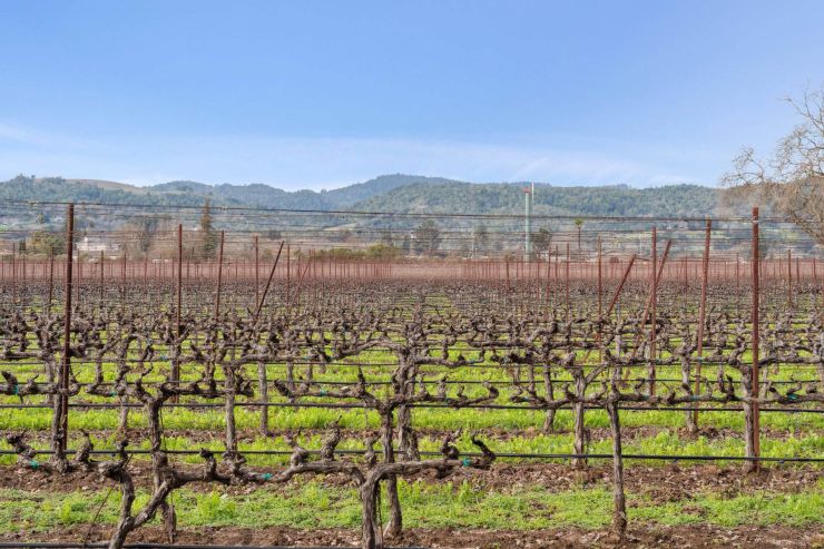 Calistoga Realty: Orchard Avenue, Napa