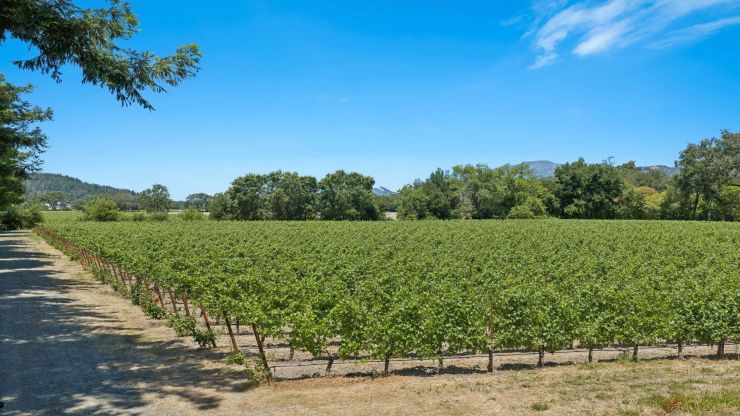 Calistoga Realty: 4210 Saint Helena Highway, Calistoga